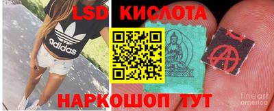 гидропоника Краснокаменск
