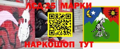 спиды Краснознаменск