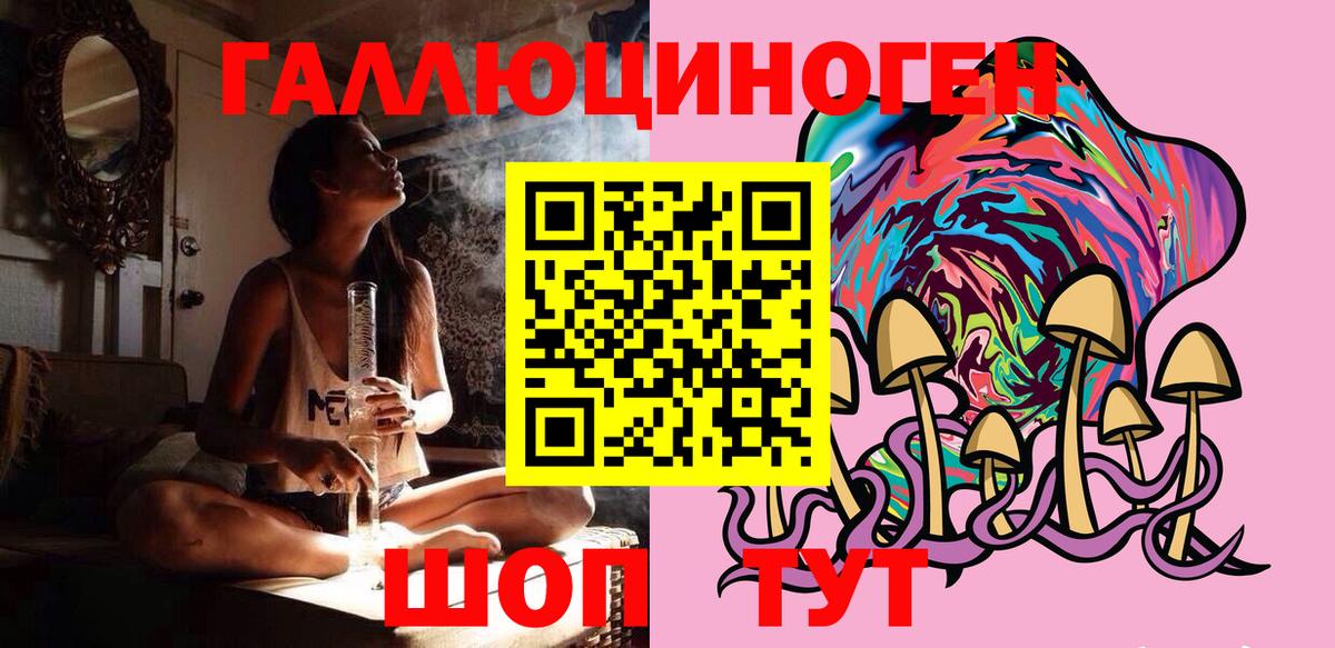 Псилоцибиновые грибы мицелий Кольчугино