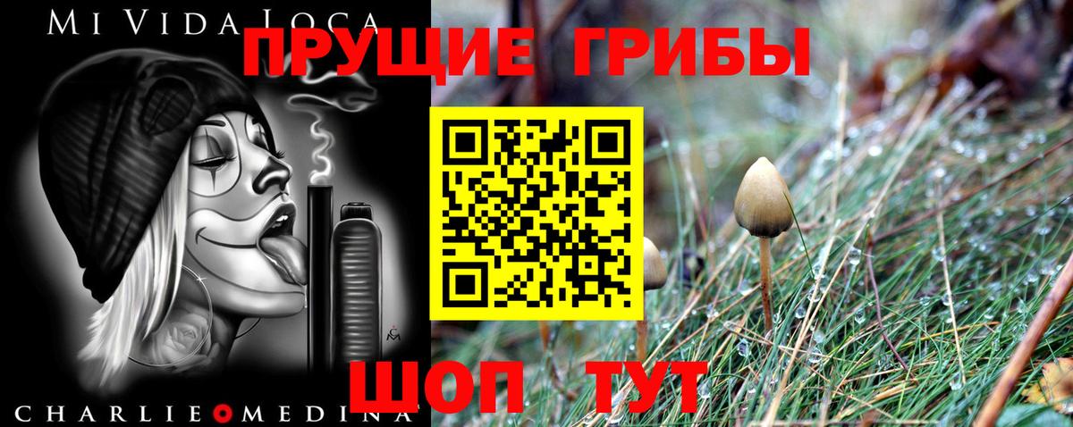 Кольчугино  Галлюциногенные грибы мухоморы  Вход с VPN 